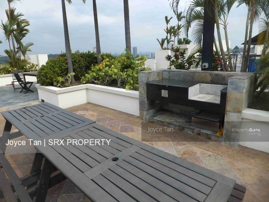 Patent Place (D21), Condominium #178016942